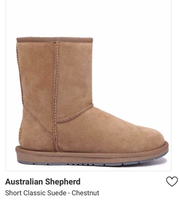 australian shepherd ugg boots
